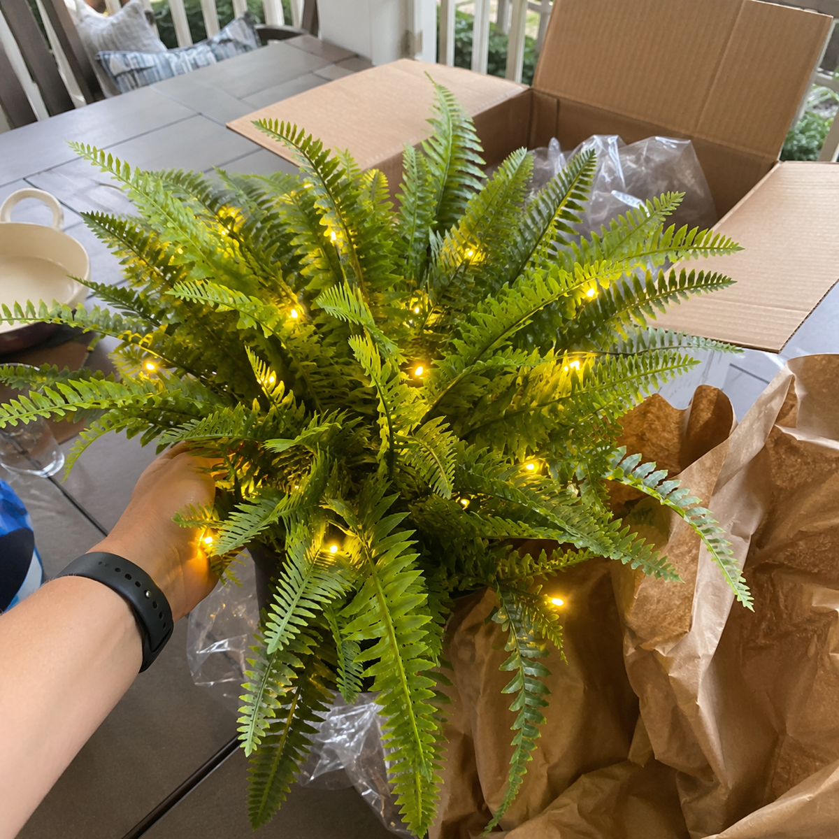 🌿 Last Day 50% OFF –Glowing Boston Ferns with lights 💛 Zero Watering, Zero Maintenance