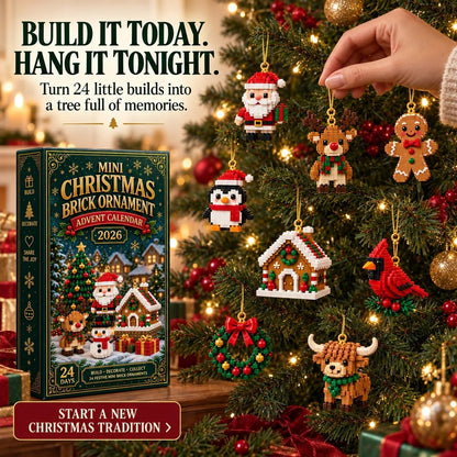 ⏳ Last day to save 50% – 🎄 24-Day Buildable Christmas Ornament Advent Calendar