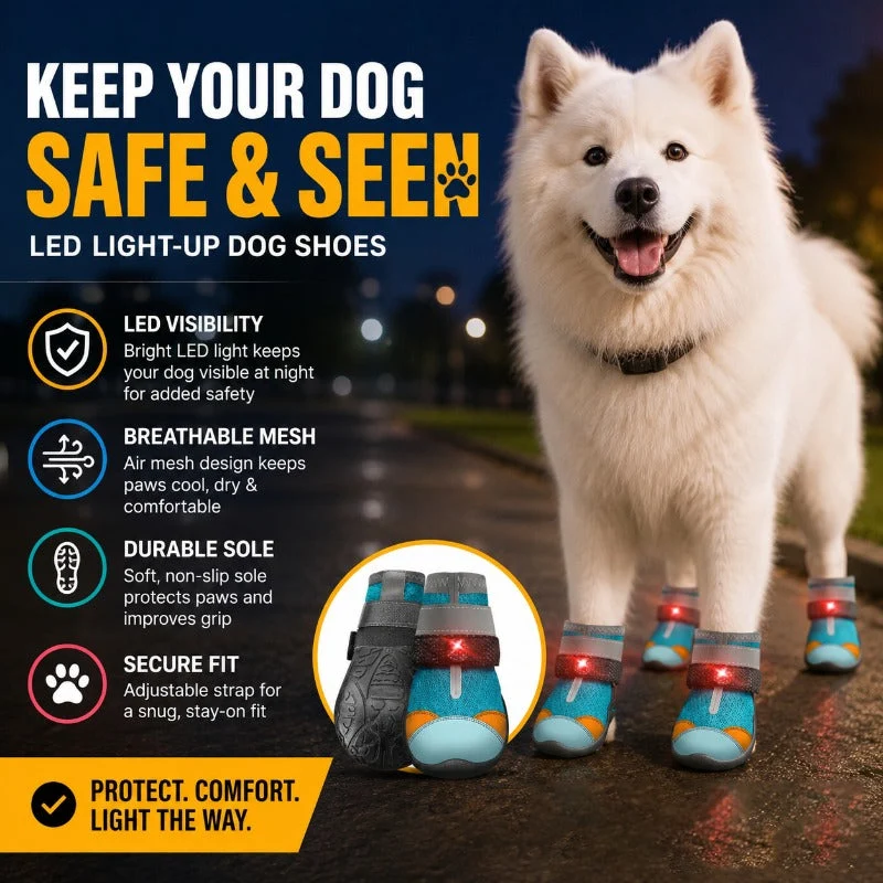 🔥Last Day 50% OFF - 🐶LED Light-Up Dog Boots