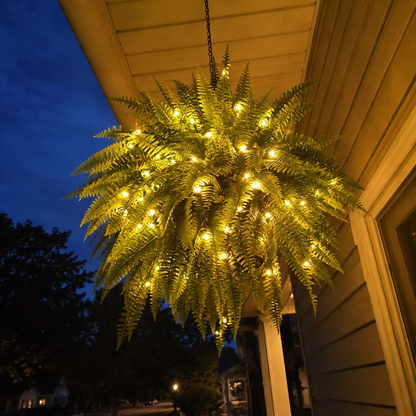 🌿 Last Day 50% OFF –Glowing Boston Ferns with lights 💛 Zero Watering, Zero Maintenance