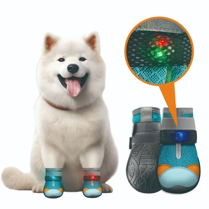 🔥Last Day 50% OFF - 🐶LED Light-Up Dog Boots